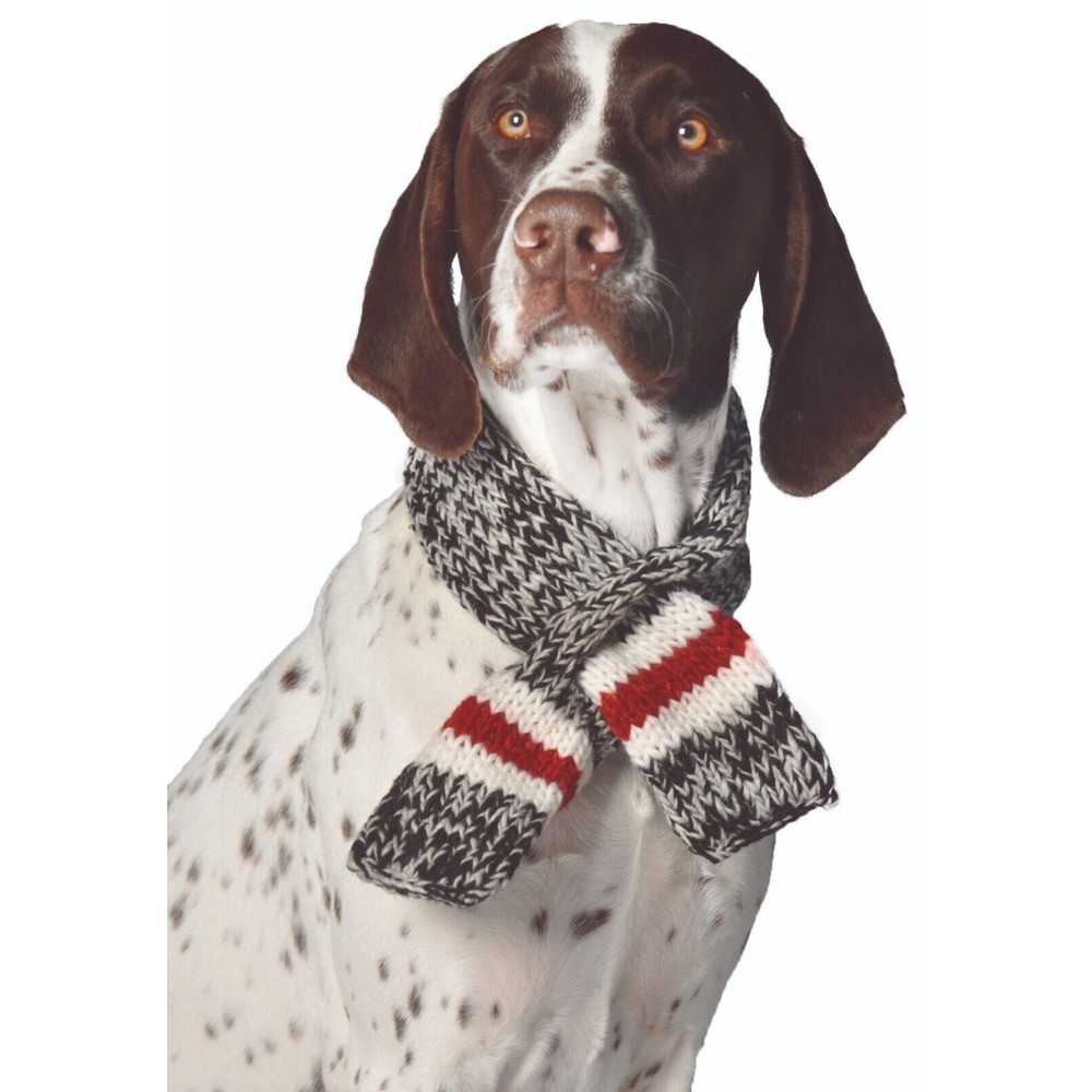 Chilly Dog Hand Knit Wool Scarf Boyfriend Winter Dog Scarf Sizes S-L